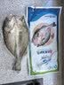 仙泉湖三去白蕉海鲈鱼1斤/条净膛刺少肉厚珠海特产500g海鲜水产生鲜食材 实拍图
