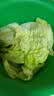 球生菜500g 实拍图