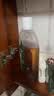 滴露（Dettol）消毒液洗衣衣物消毒水750mL 除螨杀菌混洗无忧 家居地板消毒 非84 实拍图