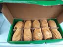 佳沛（zespri）新西兰金奇异果10粒巨大果146-175g猕猴桃水果礼盒 实拍图