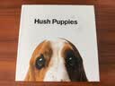 暇步士（Hush Puppies）礼品袋为家人准备一份特别的礼物，购买皮带即刻获赠精美礼品袋 实拍图