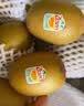 佳沛（zespri）新西兰金奇异果22粒巨大原箱146-175g猕猴桃水果礼盒 实拍图