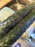 长黄瓜约600g 实拍图