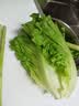 【烧烤季】钟灵山罗马生菜400g 实拍图