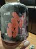 杞里香红枸杞子头茬特优级贡果枸杞500g新货宁夏中免洗枸杞茶构苟杞泡茶 实拍图