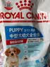 皇家狗粮 幼犬狗粮 宠物 小型犬 MIJ31 全价犬粮 2-10月 2KG 实拍图