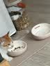 PETSTAR密封储粮桶【6L】 猫狗粮食防潮桶宠物零食存储干燥收纳盒子 实拍图