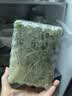 豌豆苗250g(长度≤15cm) 实拍图