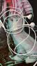 Apple/苹果 EarPods 闪电/Lightning有线耳机 iPhone耳机原装耳机适用闪电接口的手机平板 实拍图