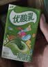 伊利【时代少年团同款】优酸乳原味250ml*24盒 礼盒装 实拍图