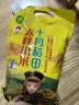 十月稻田 赤峰小米 1kg 内蒙古敖汉旗 黄小米杂粮 小米黄小米 实拍图