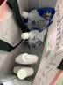 威露士清可新洗衣液松木香4斤组合装（瓶1L+袋装500ml*2）【品质严选】 实拍图