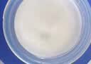 自然堂雪域修护保湿霜50g 补水修护保湿女士护肤品礼物【双十一抢先购】 实拍图