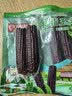 京鲜生云南版纳紫拇指小玉米500g 非转基因甜糯玉米棒手指玉米宝宝早餐 实拍图