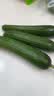 【水果菜】荷兰水果黄瓜约400g 实拍图