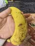 都乐 超甜蕉700g 实拍图