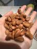 每果时光东北松子500g新货大颗粒手剥开口松子红松籽坚果炒货特产干果零食 【大颗粒】1斤：净重250g*2包（1斤约1150颗） 实拍图
