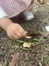 强生婴儿柔泡沐浴露洗发水二合一400ml 新生儿宝宝儿童泡沫洗护沐浴 实拍图