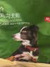 京东京造狗粮中大型犬成犬幼犬狗粮20kg/10kg*2边牧金毛拉布拉多 实拍图