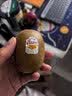 佳沛（zespri）新西兰金奇异果10个装单果重103-114g猕猴桃水果礼盒 实拍图