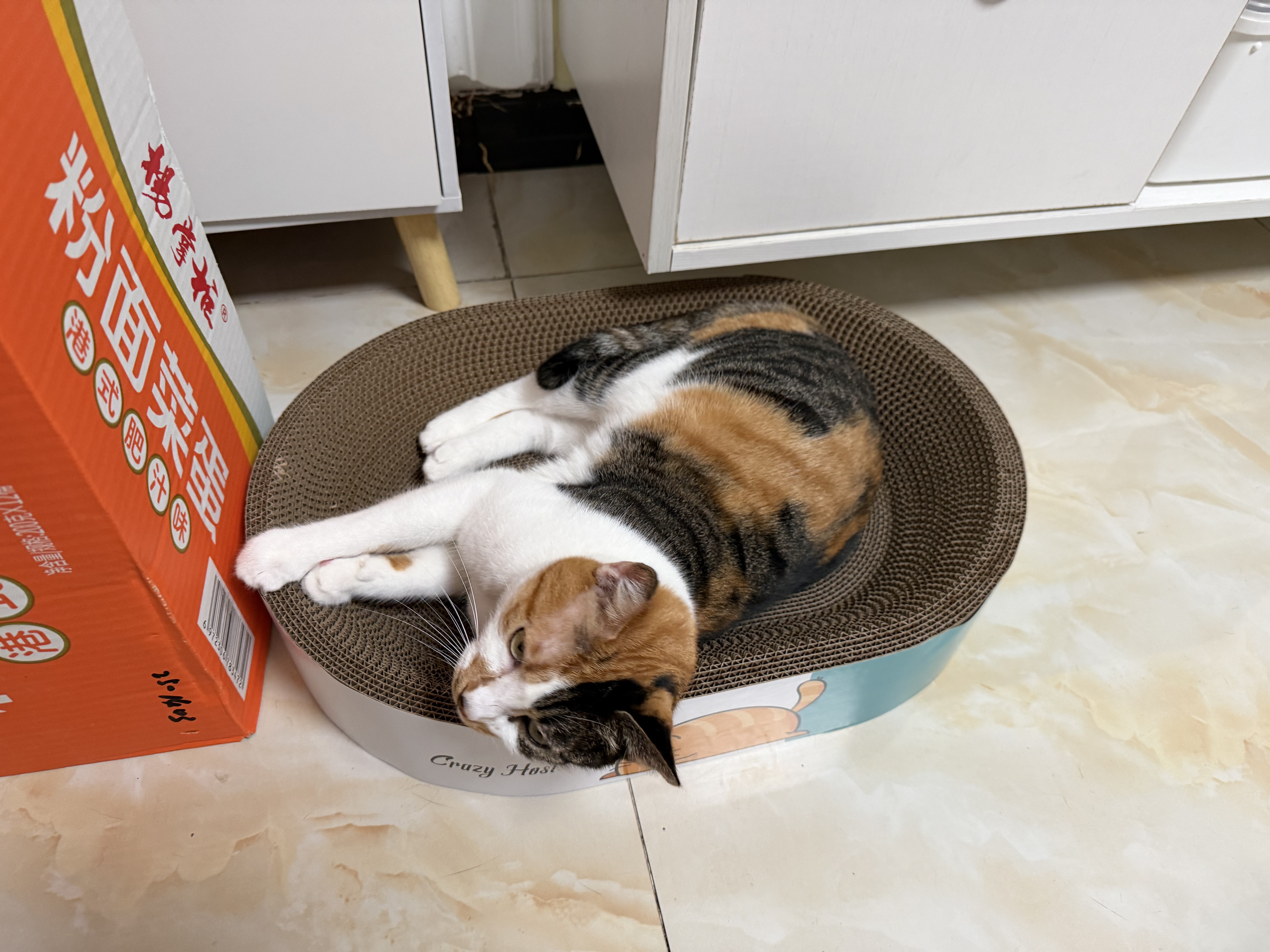 疯狂的主人猫抓板窝特大号猫玩具猫爪板猫抓盆不掉屑猫窝椭圆形瓦楞纸 实拍图