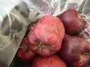 京鲜生 甘肃天水花牛苹果  净重4斤装 单果200g起 生鲜水果 实拍图