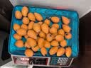 京觅云南蒙自枇杷 净重2斤 单果20g+当季新鲜水果枇杷果 源头直发 实拍图