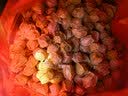 京觅东北姑娘果 净重4.5斤装 灯笼果黄菇娘洋菇茑 新鲜水果 源头直发 实拍图