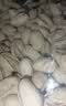 三只松鼠开心果1.1kg/罐 大颗粒无漂白0添加每日坚果炒货休闲零食团购送礼 实拍图