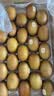 佳沛（zespri）金奇异果25-27粒原箱特大果124-146g猕猴桃水果礼盒 实拍图