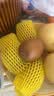 佳沛（zespri）新西兰金奇异果猕猴桃 5粒装 单果约88-103g 水果源头直发 实拍图