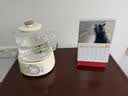 小熊（Bear）全玻璃养生壶 纯玻璃多功能恒温烧水壶煮水壶 办公室轻音炖煮茶壶 1L YSH-J10D1 实拍图