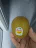 佳沛（zespri）新西兰金奇异果10个装单果重103-114g猕猴桃水果礼盒 实拍图