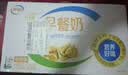 伊利早餐奶核桃味 250ml*24盒 优选核桃早餐伴侣 礼盒装 实拍图