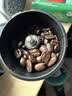 星巴克（Starbucks）佛罗娜咖啡豆220g深烘 100%阿拉比卡手冲豆 黑巧焦香爆款 实拍图