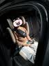 宝得适（BRITAX）凯迪骑士Pro儿童安全座椅3.5-12岁宝宝椅原木棕 实拍图