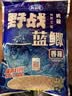 龙王恨鱼饵蓝鲫X5青春版腥香饵江河黑坑野钓鲫鲤草鳊鱼通杀综合钓鱼饵料 野战蓝鲫-香腥(300g/1包) 实拍图