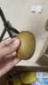 佳沛（zespri）新西兰金奇异果4粒103-114g猕猴桃源头直发水果礼盒 实拍图