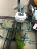 贝亲（Pigeon）【新生儿第一个奶瓶】玻璃奶瓶宽口径奶瓶80ml SS号奶嘴 0月+ 实拍图