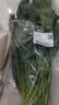 大菠菜300g 实拍图