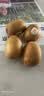 佳沛（zespri）新西兰金奇异果猕猴桃 5粒装 单果约88-103g 水果源头直发 实拍图