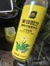 史丹利（STANLEY）水培植物营养液富贵竹专用郁金香水仙花室内盆栽通用型肥料125ml 实拍图