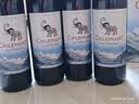 智象智利进口冰川赤霞珠干红葡萄酒750ml*6整箱智利进口红酒 实拍图