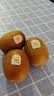 佳沛（zespri）金奇异果25-27粒原箱特大果124-146g猕猴桃水果礼盒 实拍图