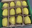 佳沛（zespri）新西兰金奇异果8粒特大果124-146g猕猴桃水果礼盒 实拍图