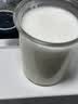 九阳（Joyoung）小胖丁破壁机家用轻音全自动小体积1.2L多功能预约豆浆机2-3人榨汁辅食机五谷杂粮 P203 国家补贴 实拍图