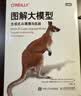 图解大模型+图解DeepSeek技术 京东套装2册 图灵出品 实拍图