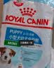 皇家狗粮 幼犬狗粮 宠物 小型犬 MIJ31 全价犬粮 2-10月 2KG 实拍图