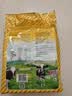 青食特制钙奶饼干大礼包1350g【山东青食游泳队亚运冠军同款】早餐 实拍图