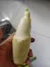 青浦练塘茭白 400g 实拍图